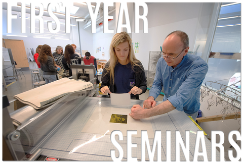 student and instructor in a First-Year Seminar