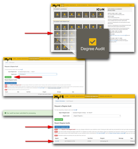 requesting a degree audit in MyUI