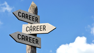 signpost with three direction arrows pointing in different ways with the text 'careers' on them
